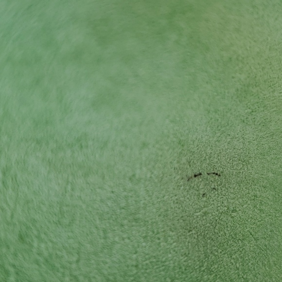 Charter Club mint color suede jacket 2p - Picture 4 of 7